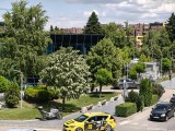 Daylight samples, telephoto camera (3.5x) - 85mm, f/2.8, ISO 200, 1/2002s (4096x3072px) - Oppo Reno16 review
