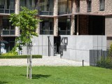 Daylight samples, telephoto camera (3.5x), 50MP - 80mm, f/2.8, ISO 50, 1/377s (8192x6144px) - Oppo Reno16 review